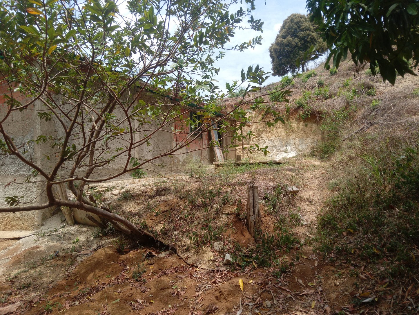 Casa Parcela / Sector el Javillito.